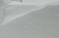 降雪持续46小时！内蒙古通辽积雪深度“破纪录” 谨防“白灾”_牲畜